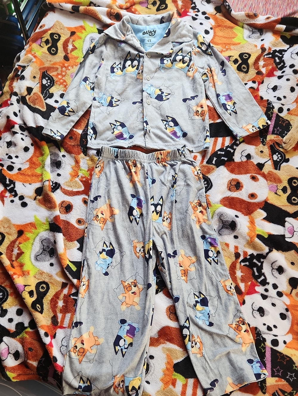 Kids Bluey Character Print Pajama Set 4T
